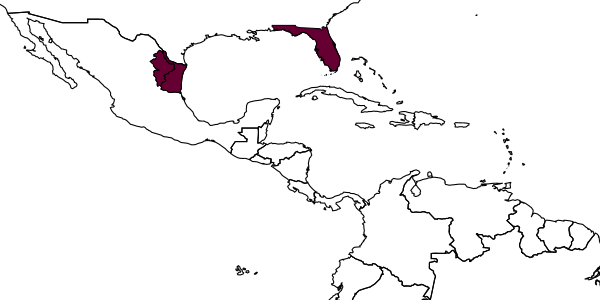 map of Coccobius donatellae     Pedata & Evans, 1997